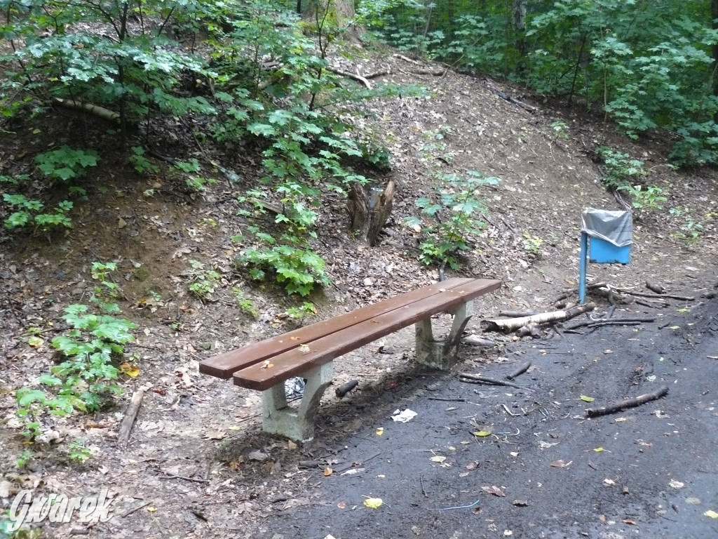 Tarnowskie Góry. Spacer po parku Piny