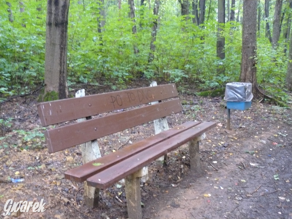 Tarnowskie Góry. Spacer po parku Piny