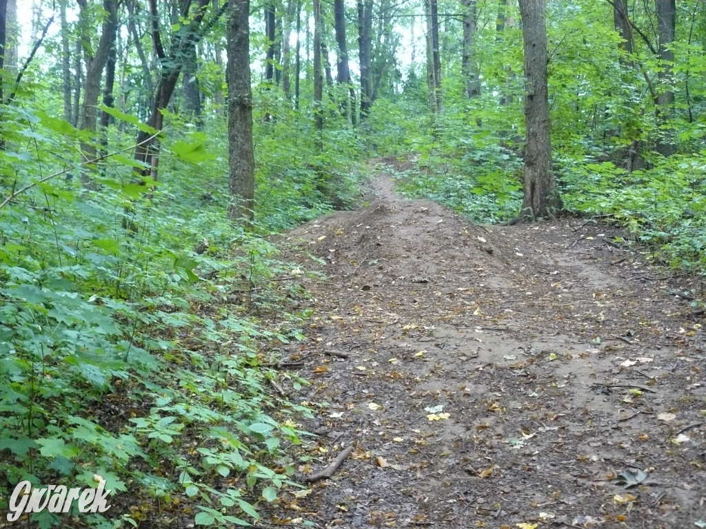 Tarnowskie Góry. Spacer po parku Piny
