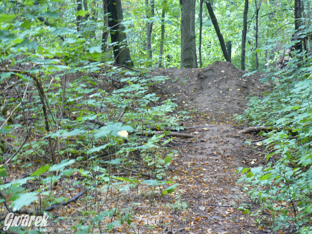 Tarnowskie Góry. Spacer po parku Piny