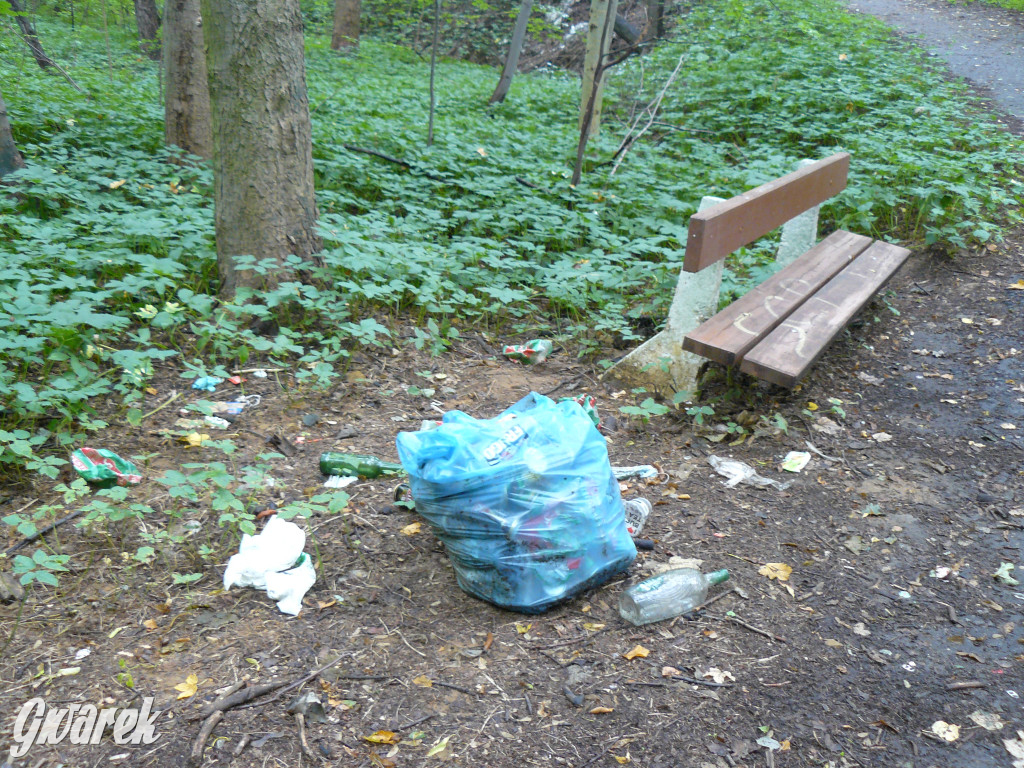 Tarnowskie Góry. Spacer po parku Piny