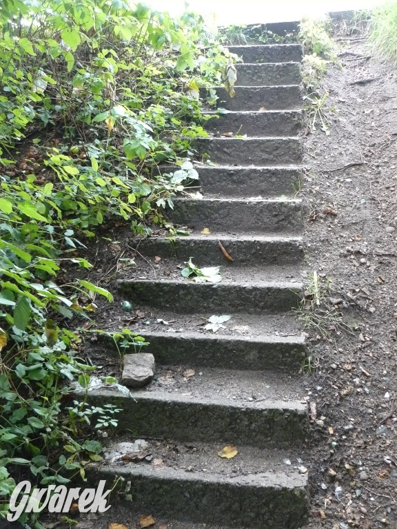 Tarnowskie Góry. Spacer po parku Piny