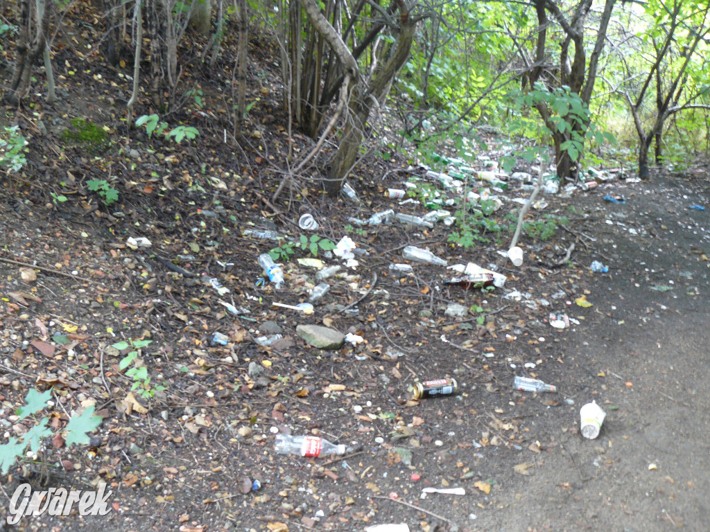 Tarnowskie Góry. Spacer po parku Piny