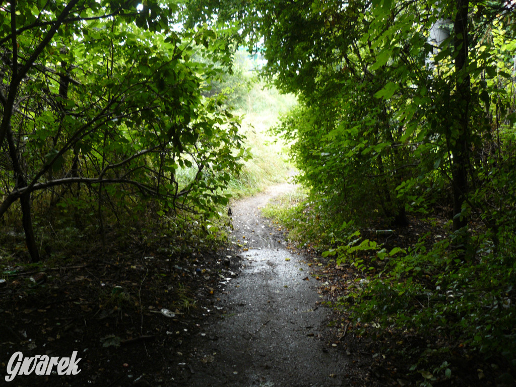 Tarnowskie Góry. Spacer po parku Piny