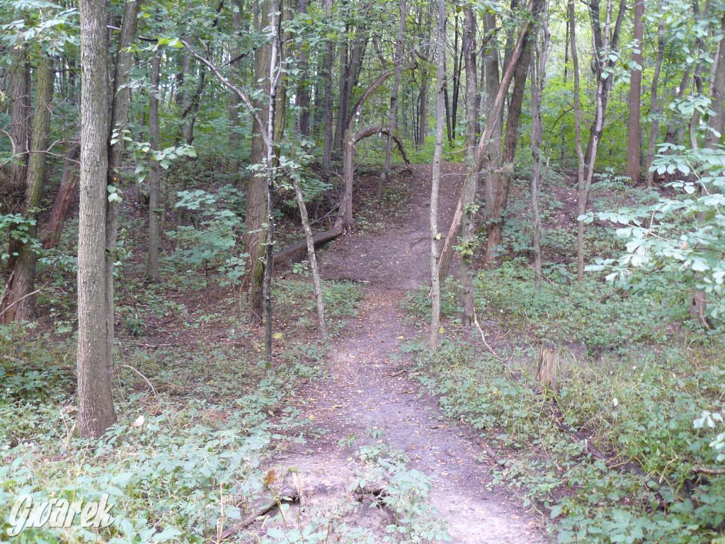 Tarnowskie Góry. Spacer po parku Piny