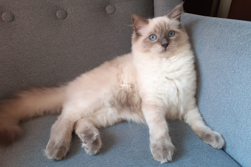 Konkurs. Superwierzaki w obiektywie