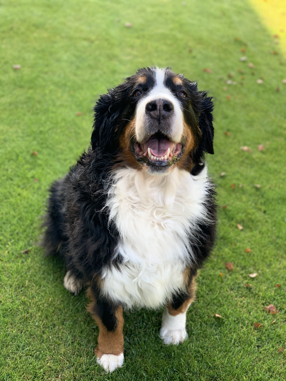 Konkurs. Superwierzaki w obiektywie