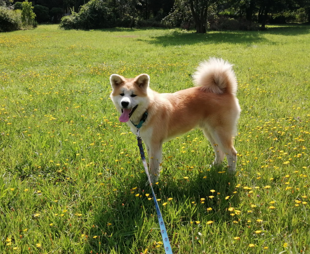 Konkurs. Superwierzaki w obiektywie