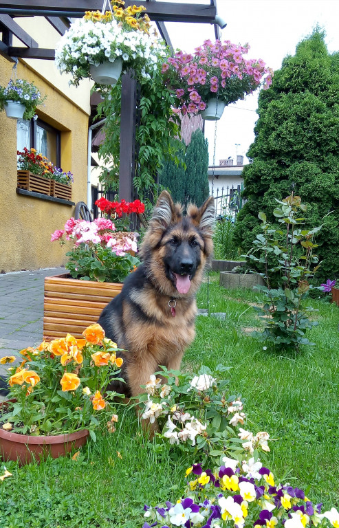 Konkurs. Superwierzaki w obiektywie