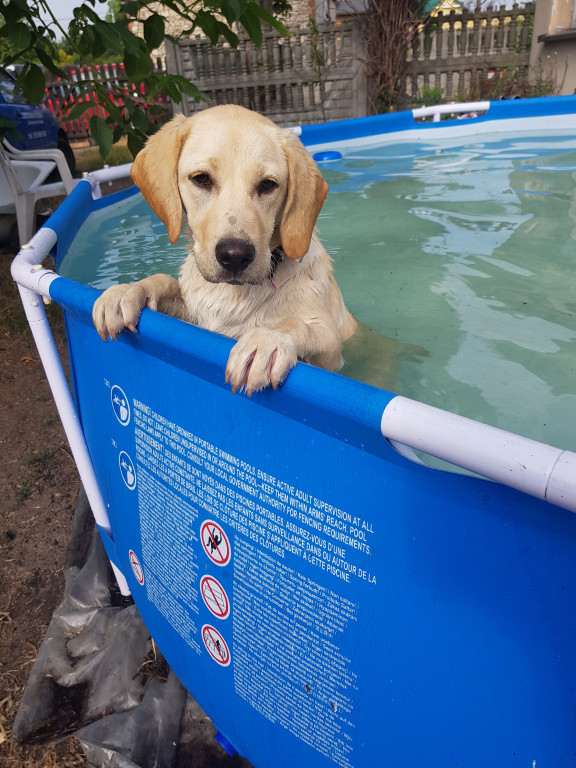 Konkurs. Superwierzaki w obiektywie