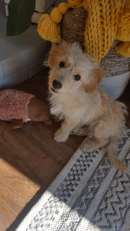 Konkurs. Superwierzaki w obiektywie