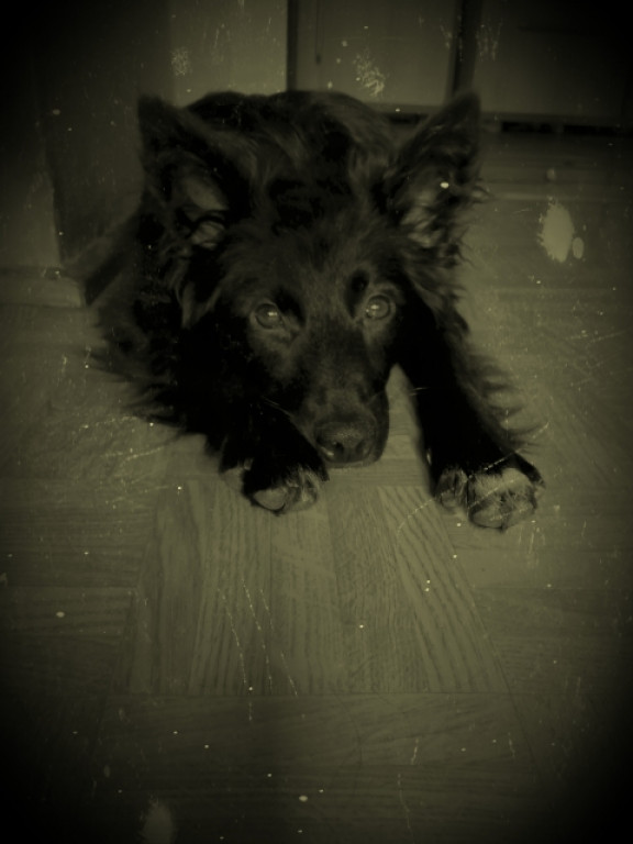 Konkurs. Superwierzaki w obiektywie