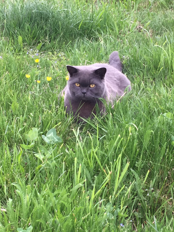 Konkurs. Superwierzaki w obiektywie