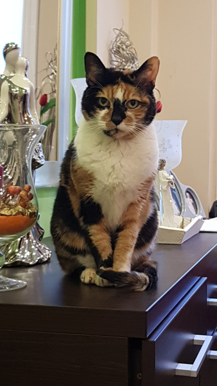 Konkurs. Superwierzaki w obiektywie