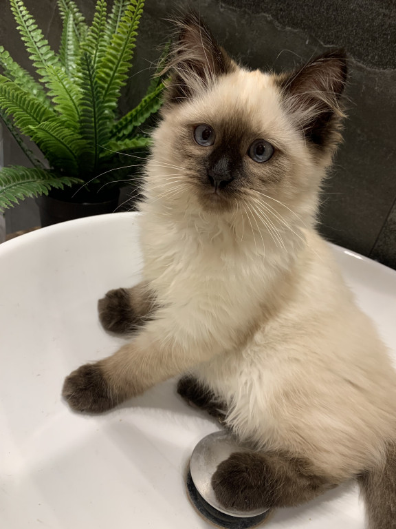 Konkurs. Superwierzaki w obiektywie