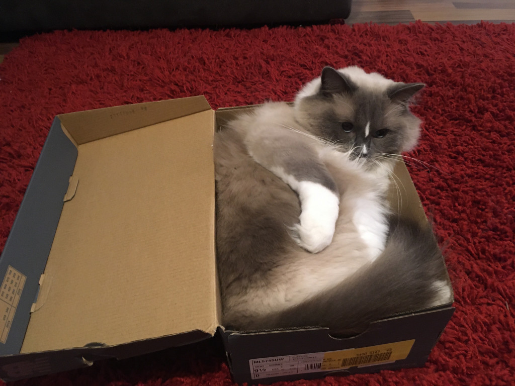 Konkurs. Superwierzaki w obiektywie