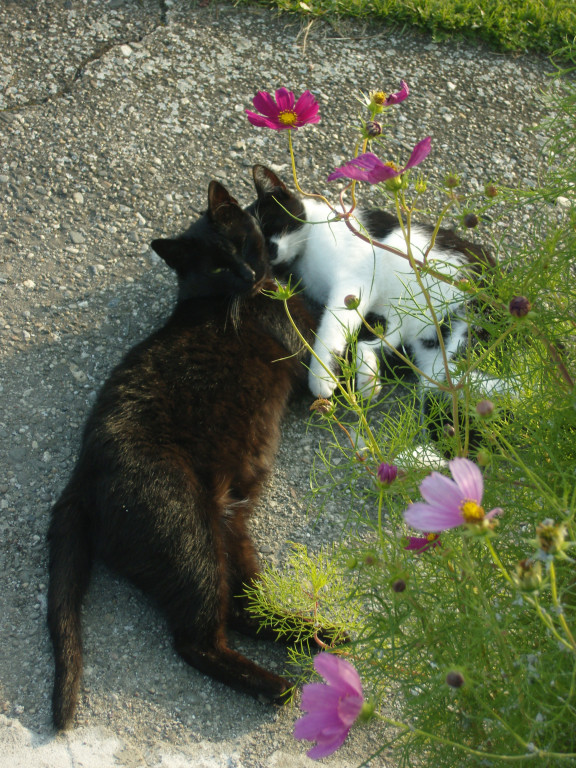 Konkurs. Superwierzaki w obiektywie