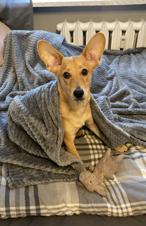 Konkurs. Superwierzaki w obiektywie