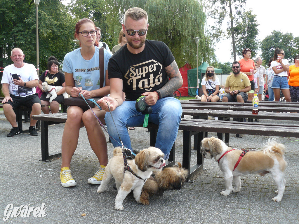 Piknik Rodzinny i Zlot Miłośników Shih Tzu
