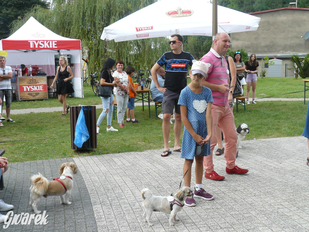 Piknik Rodzinny i Zlot Miłośników Shih Tzu