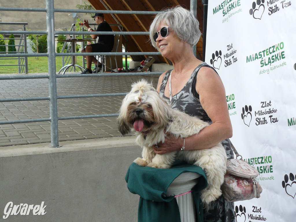 Piknik Rodzinny i Zlot Miłośników Shih Tzu