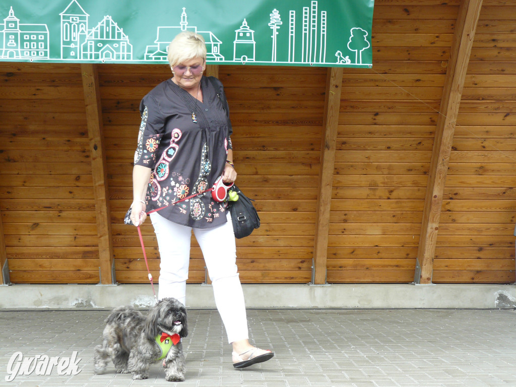 Piknik Rodzinny i Zlot Miłośników Shih Tzu