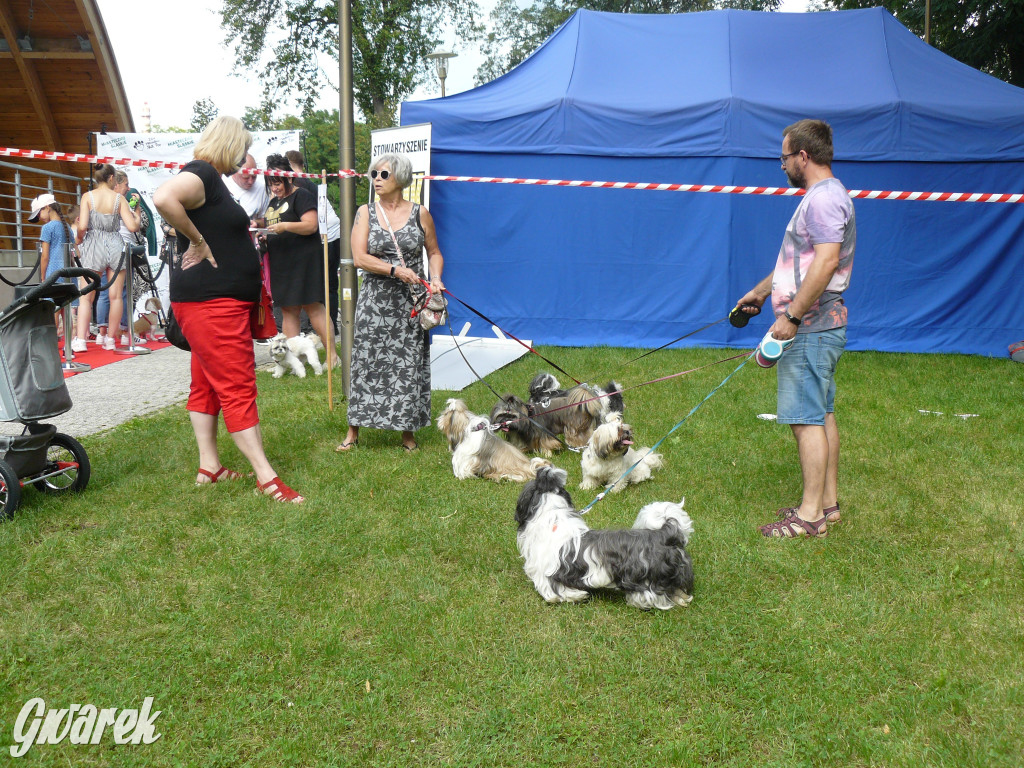 Piknik Rodzinny i Zlot Miłośników Shih Tzu
