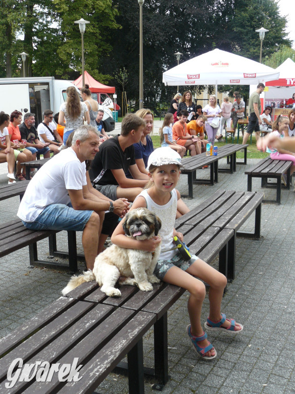 Piknik Rodzinny i Zlot Miłośników Shih Tzu