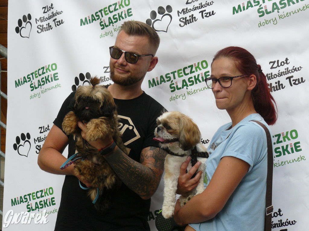 Piknik Rodzinny i Zlot Miłośników Shih Tzu