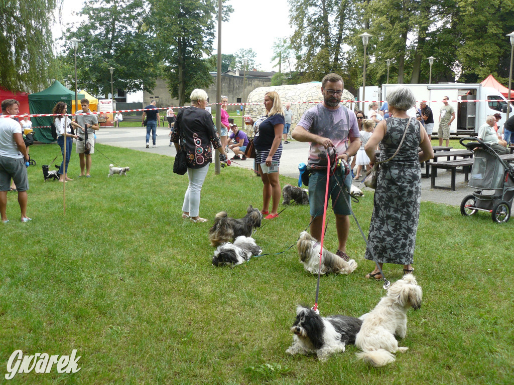 Piknik Rodzinny i Zlot Miłośników Shih Tzu