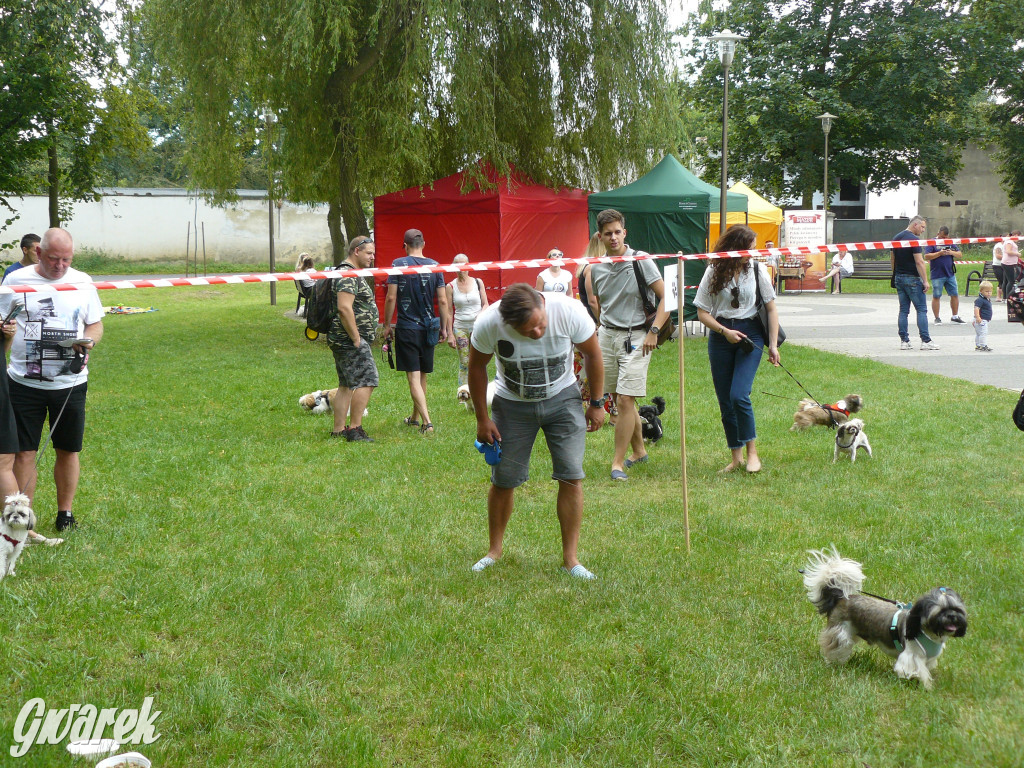 Piknik Rodzinny i Zlot Miłośników Shih Tzu