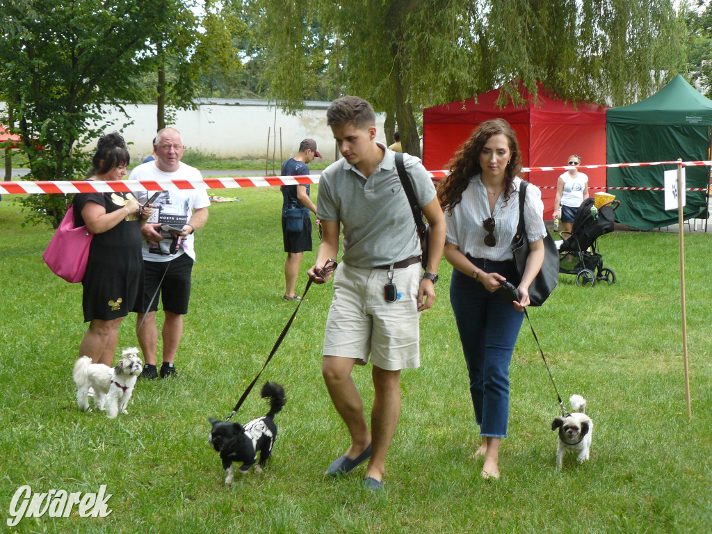 Piknik Rodzinny i Zlot Miłośników Shih Tzu