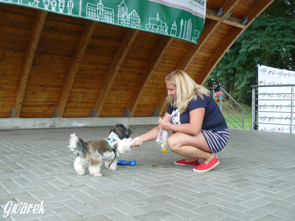 Piknik Rodzinny i Zlot Miłośników Shih Tzu