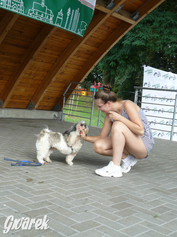 Piknik Rodzinny i Zlot Miłośników Shih Tzu