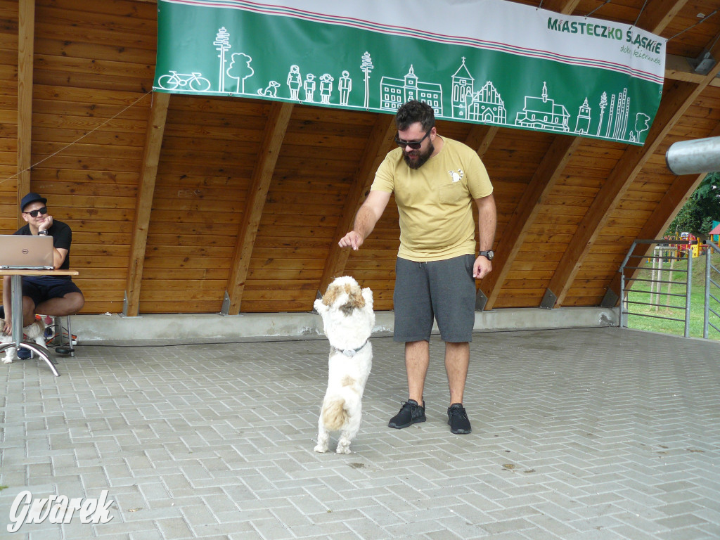 Piknik Rodzinny i Zlot Miłośników Shih Tzu