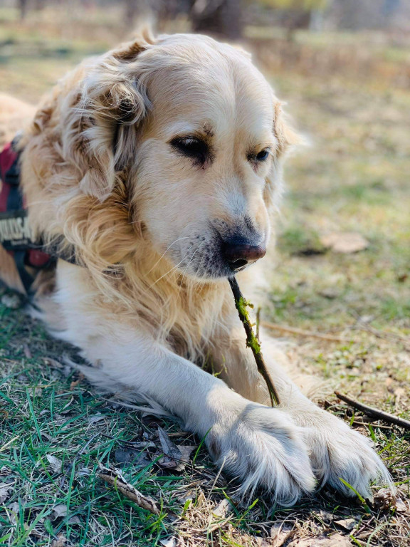 Konkurs. Superwierzaki w obiektywie