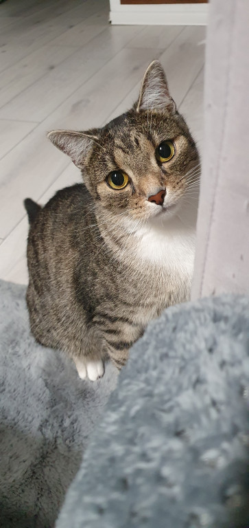 Konkurs. Superwierzaki w obiektywie