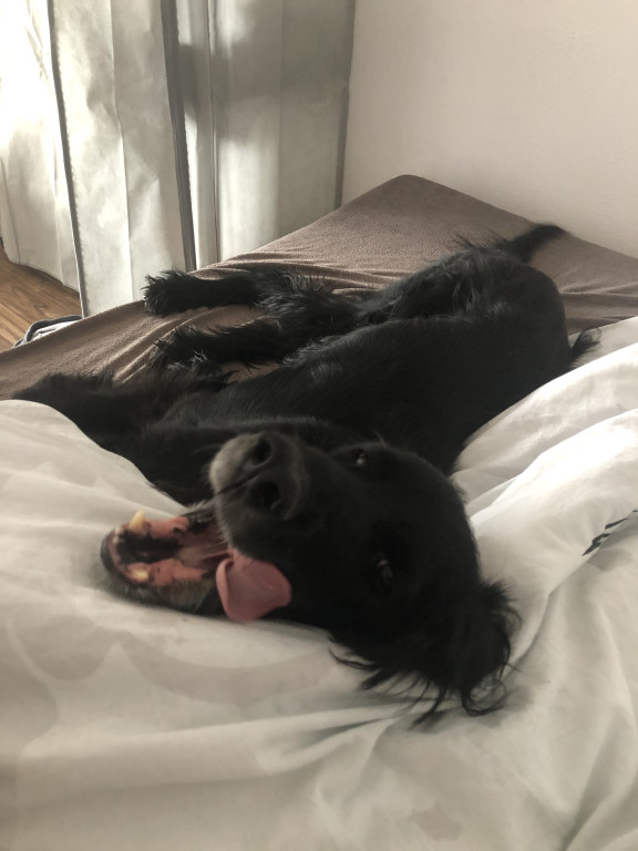 Konkurs. Superwierzaki w obiektywie