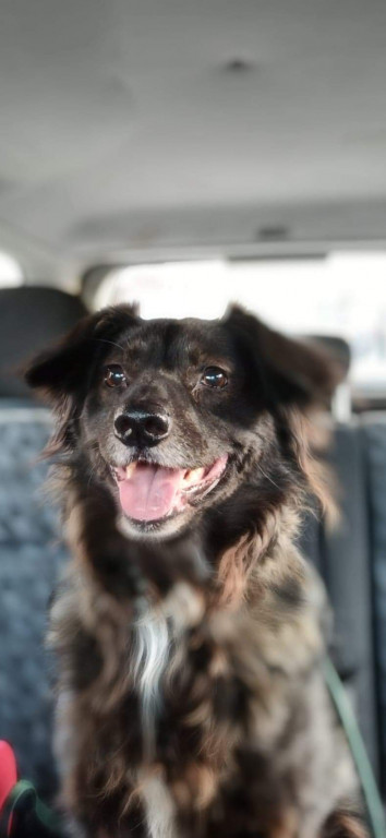 Konkurs. Superwierzaki w obiektywie