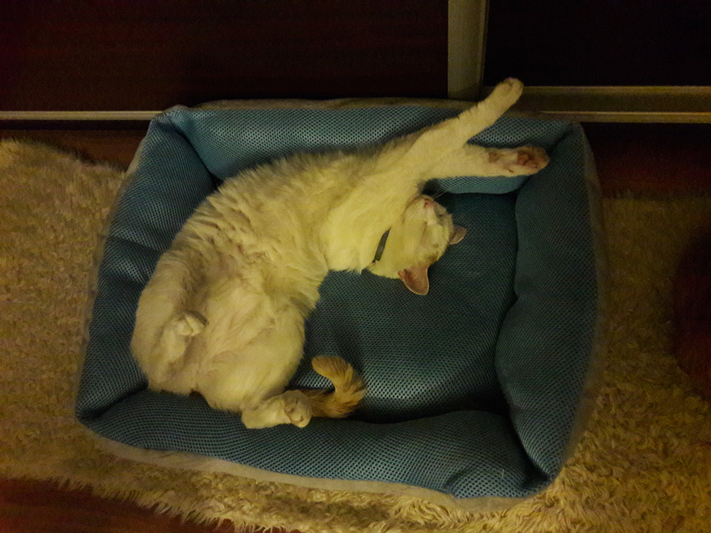 Konkurs. Superwierzaki w obiektywie