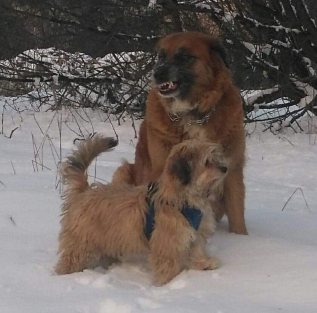 Konkurs. Superwierzaki w obiektywie