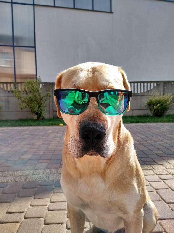 Konkurs. Superwierzaki w obiektywie