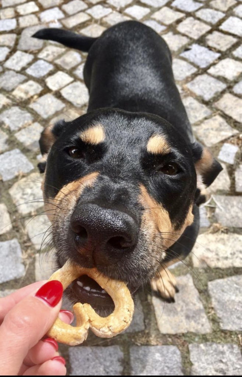 Konkurs. Superwierzaki w obiektywie