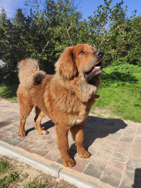 Konkurs. Superwierzaki w obiektywie