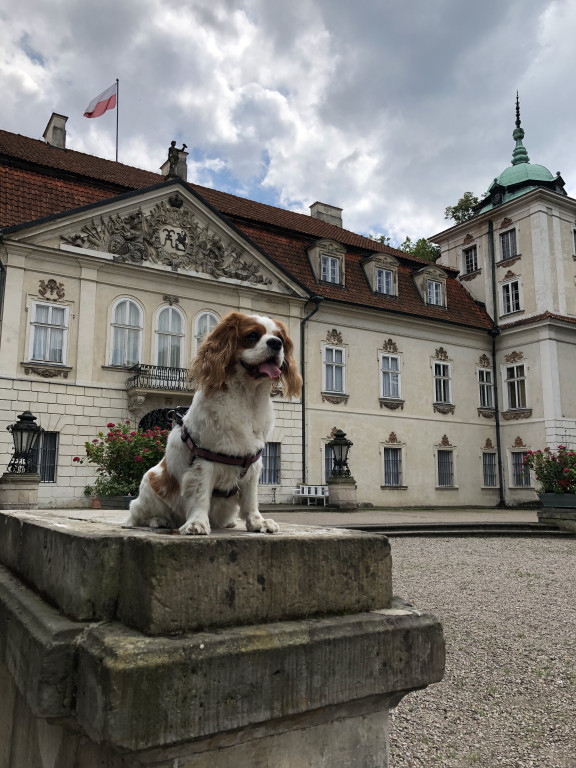 Konkurs. Superwierzaki w obiektywie