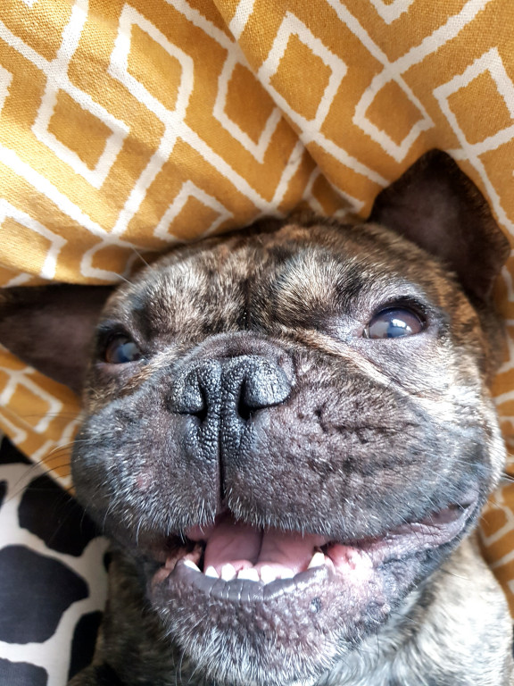 Konkurs. Superwierzaki w obiektywie