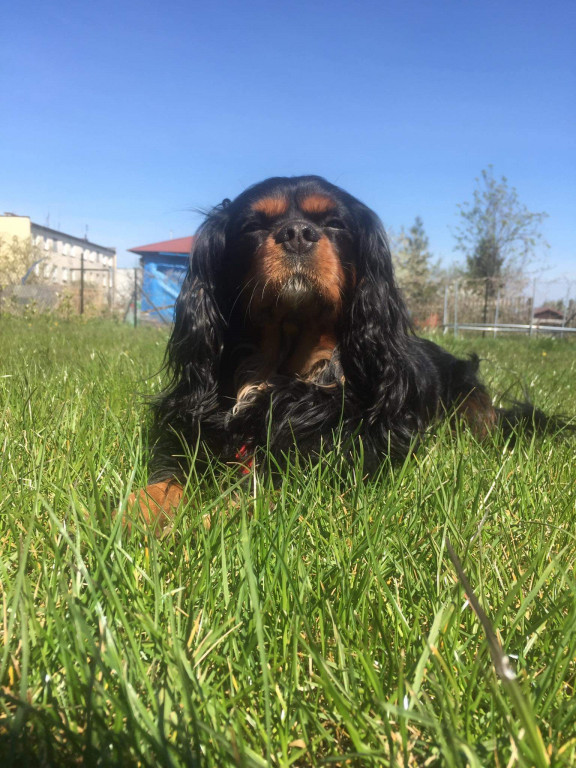 Konkurs. Superwierzaki w obiektywie