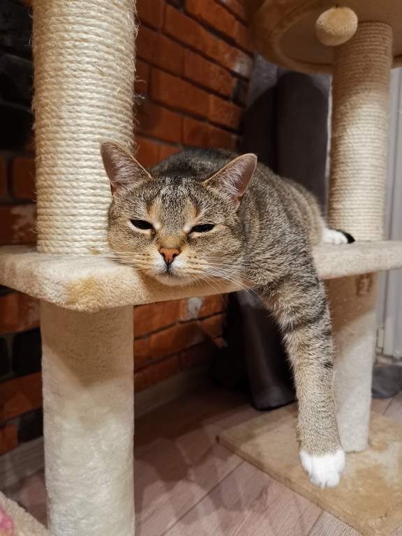 Konkurs. Superwierzaki w obiektywie