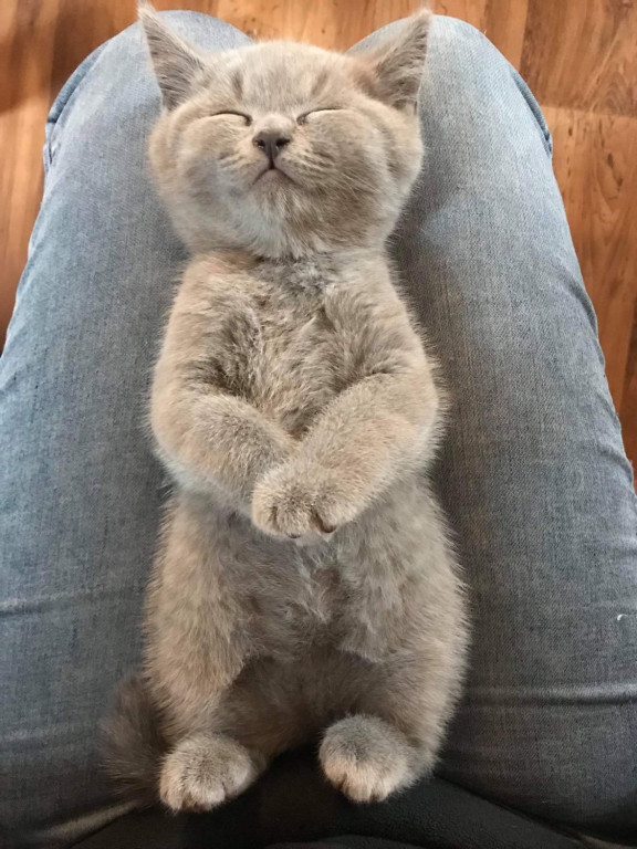 Konkurs. Superwierzaki w obiektywie