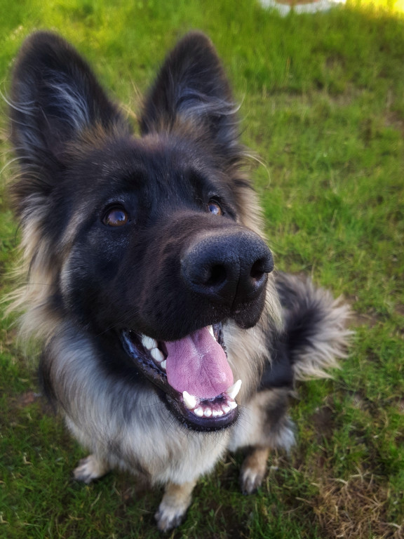 Konkurs. Superwierzaki w obiektywie